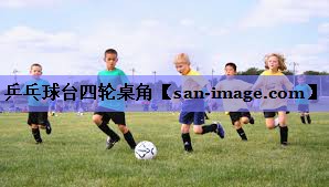 乒乓球台四轮桌角 乒乓球台四轮桌角
