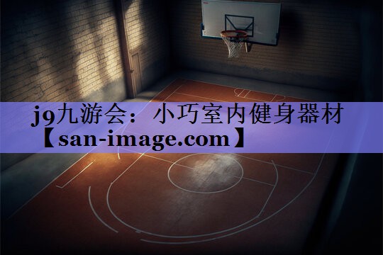 小巧室内健身器材 小巧室内健身器材