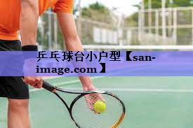 乒乓球台小户型 乒乓球台小户型
