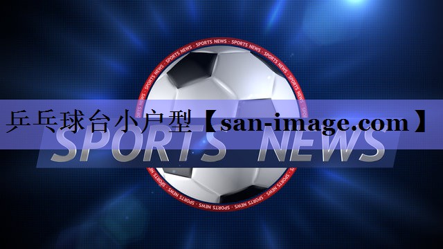 乒乓球台小户型 乒乓球台小户型