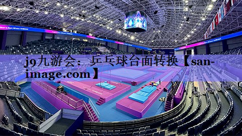 乒乓球台面转换 乒乓球台面转换