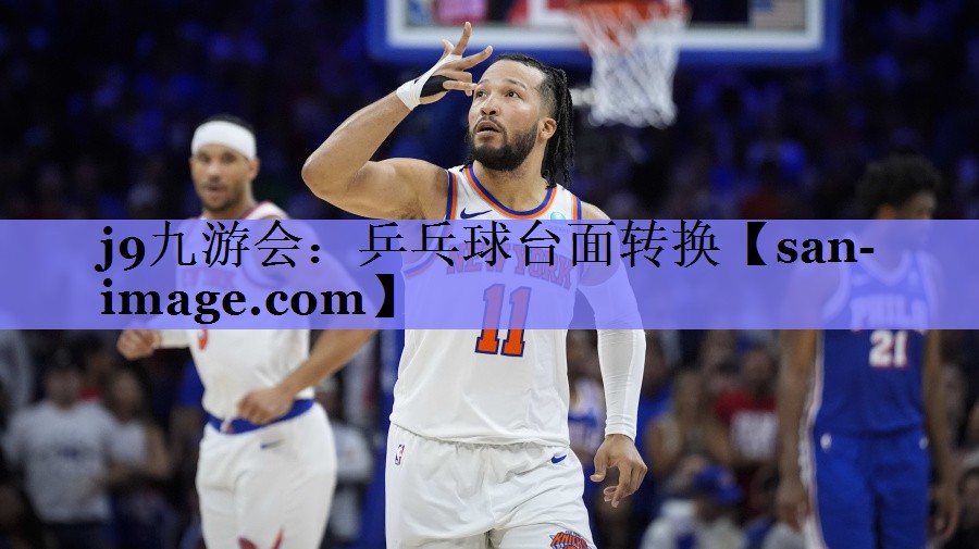 乒乓球台面转换 乒乓球台面转换