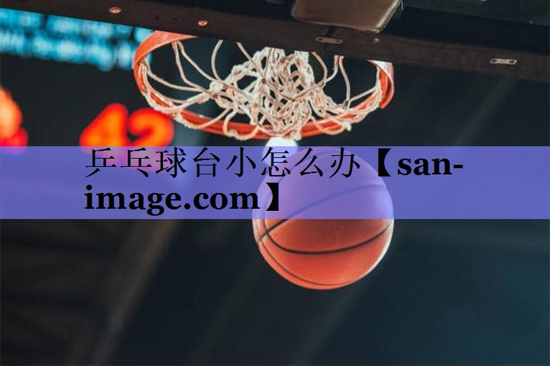 乒乓球台小怎么办