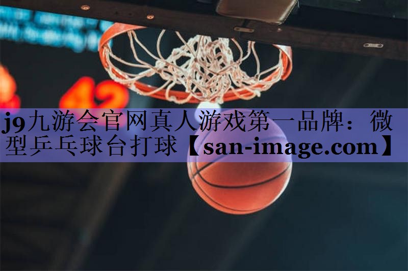微型乒乓球台打球 微型乒乓球台打球