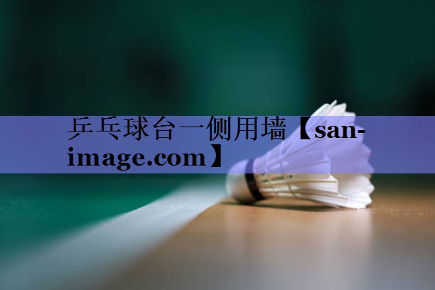 乒乓球台一侧用墙 乒乓球台一侧用墙