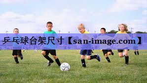 乒乓球台架尺寸