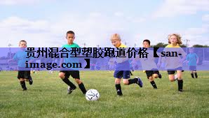 贵州混合型塑胶跑道价格 贵州混合型塑胶跑道价格