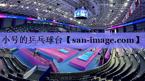 小号的乒乓球台 小号的乒乓球台
